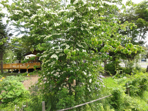 DSC03481-10