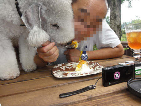 犬食い