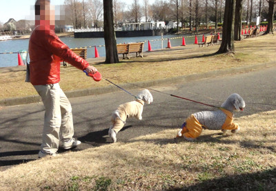 引っ張る