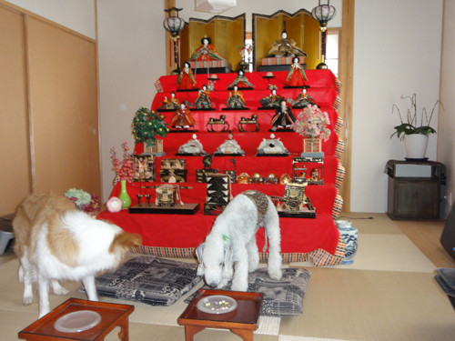 DSC02723-3