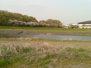 笹井川原