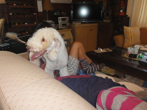 DSC04188-9