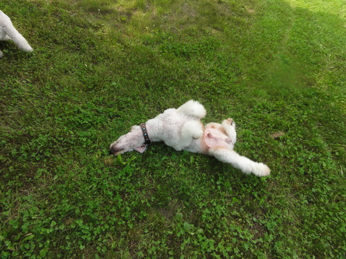 DSC05562