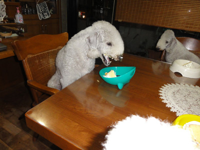 がつがつ食べるピーチ