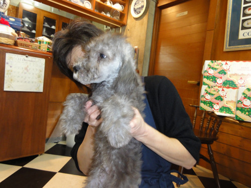 DSC02412b-4