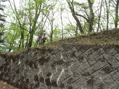 DSC03310-6