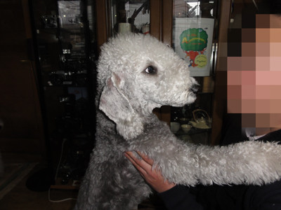 バナナアップ