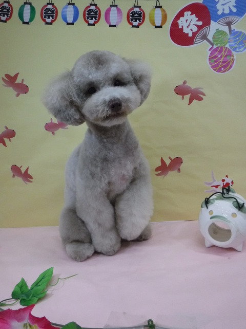 Yおおじろう (2)