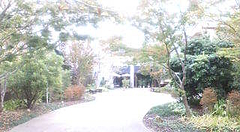 離宮入った風景