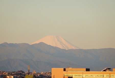 DSCN5147