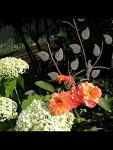 9b5a01b6.jpg