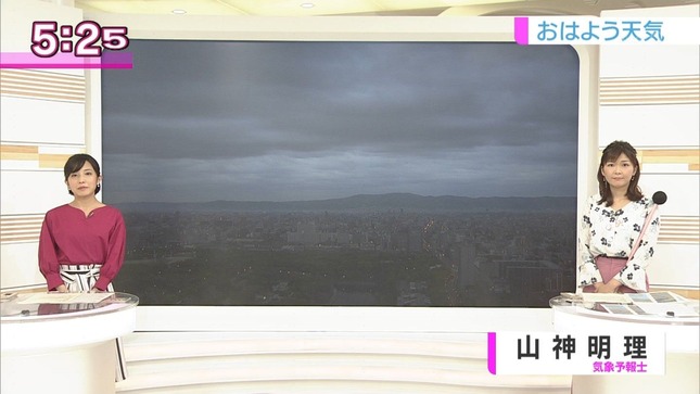 林田理沙 ブラタモリ おはよう日本 14