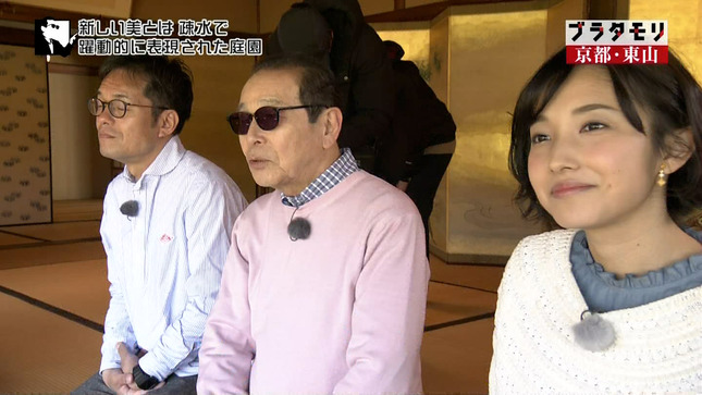 林田理沙 ブラタモリ おはよう日本 6