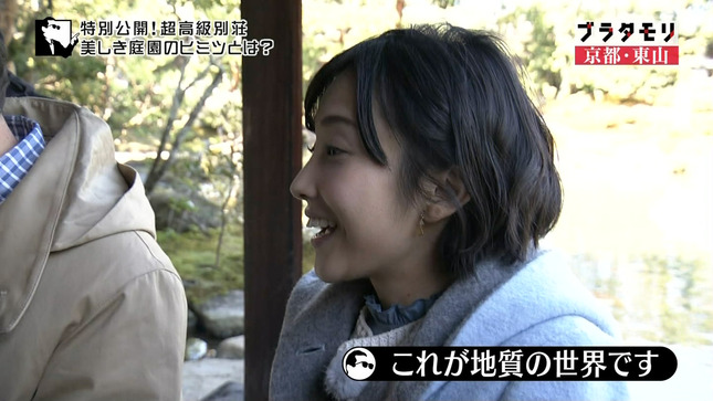 林田理沙 ブラタモリ おはよう日本 1