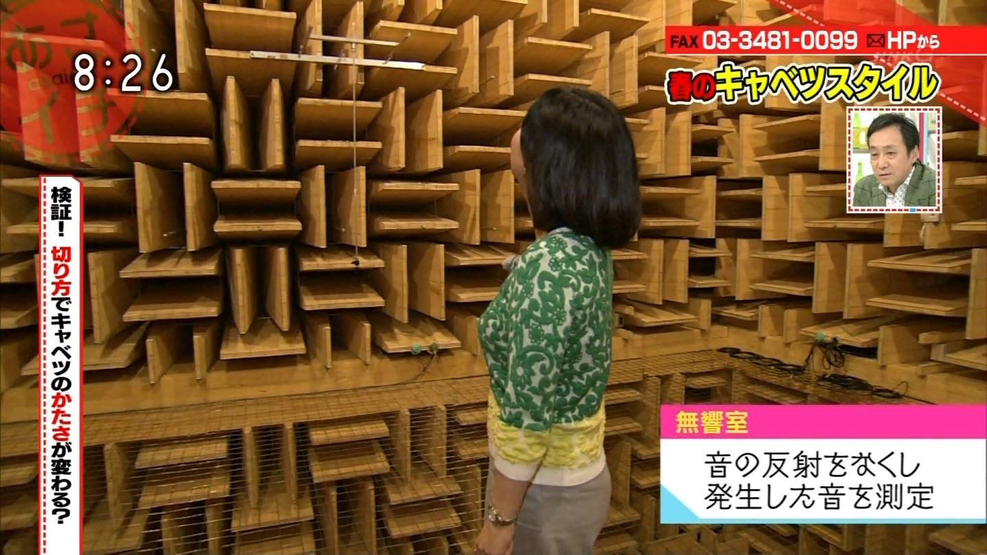 【NHK名古屋放送局】川*^∇^o)っ西堀裕美 Part45【2018年4月復帰】©2ch.net	->画像>547枚 