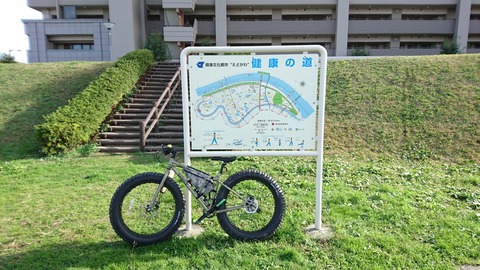 0054健康の道