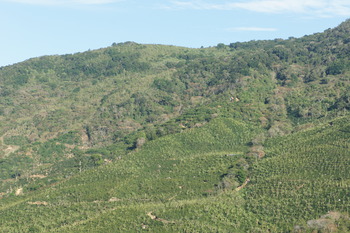 DSC09809