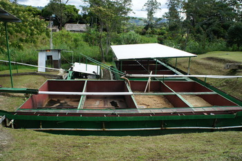 DSC00490