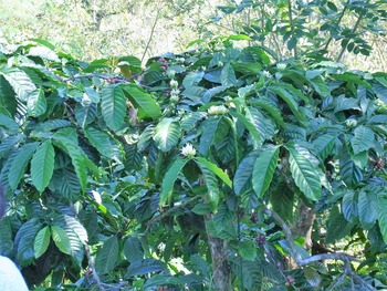 RIMG0126