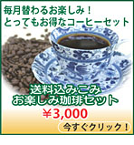 お楽しみコーヒーセット