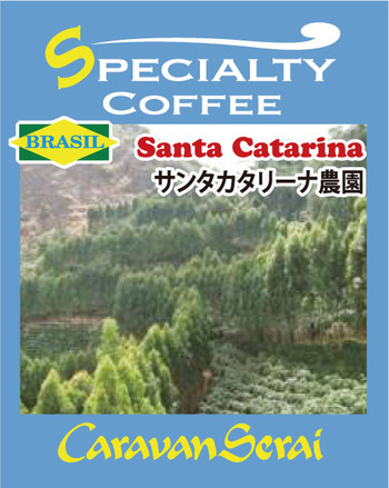catarina_s