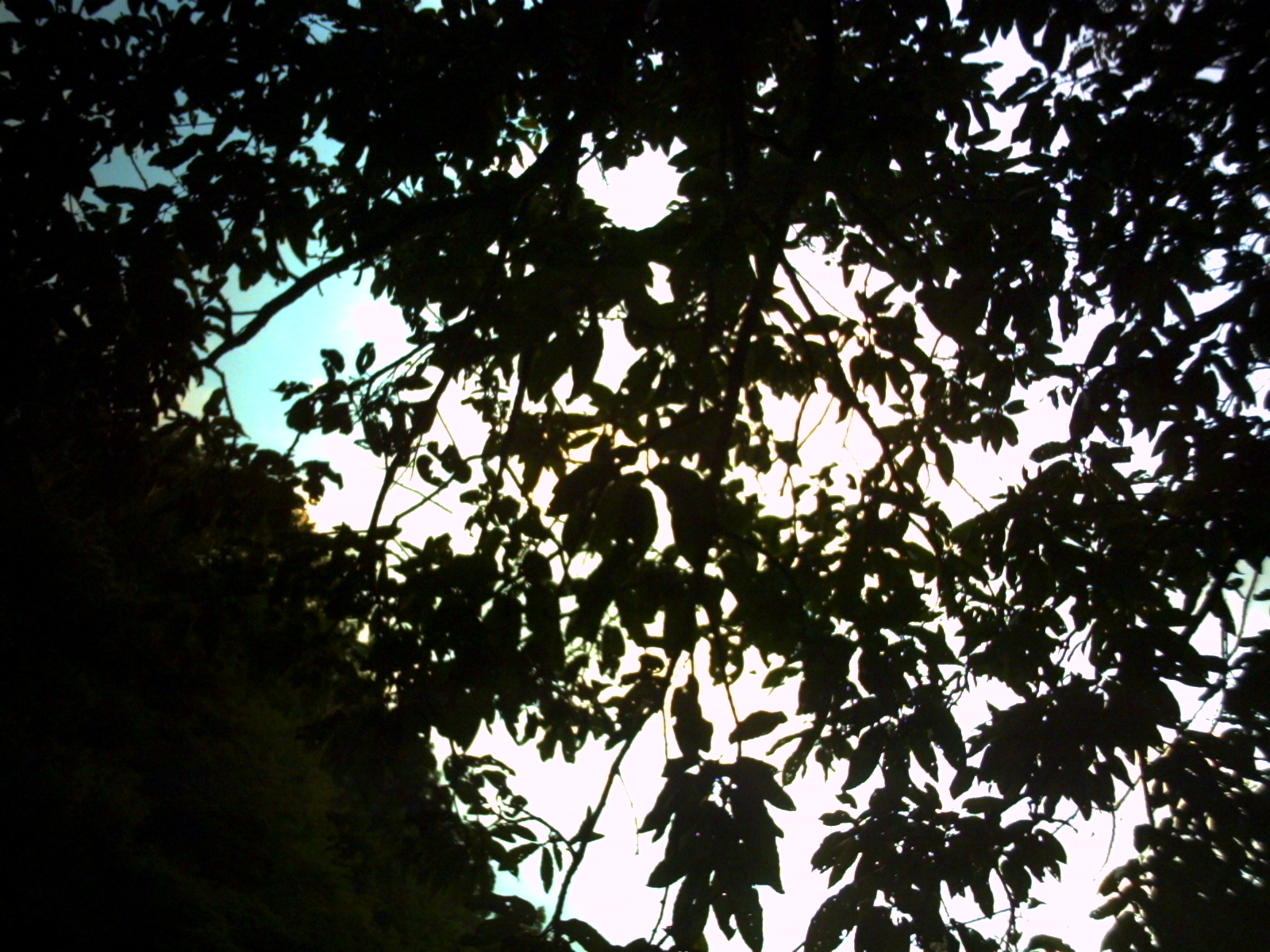 PICT0211