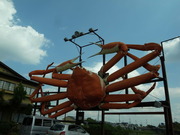 R0011055