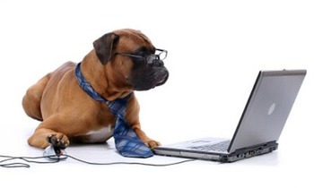 dog-computer11