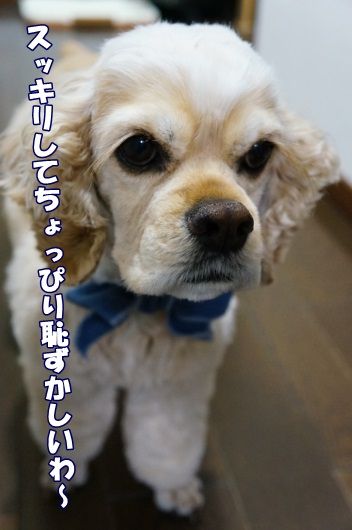 DSC08907