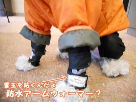 DSCN0037