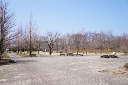 DSC09800