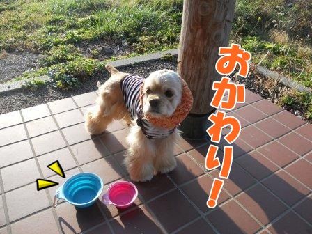 DSCN9725