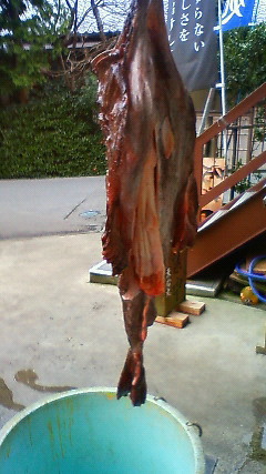 201001110921001.jpg