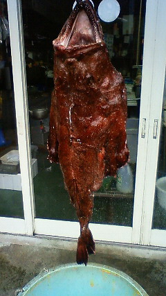 201001110921000.jpg