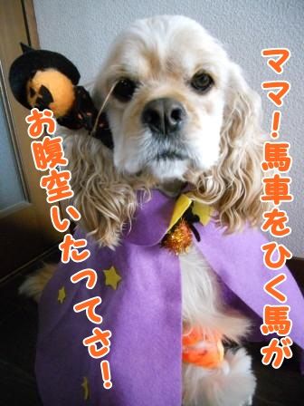 DSCN9437
