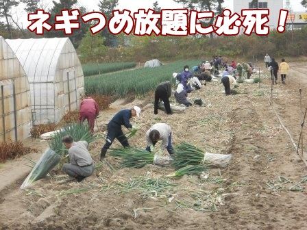 DSCN9758
