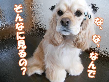 DSCN0025