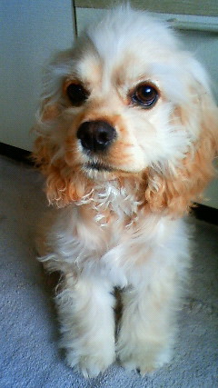 200912240800002.jpg
