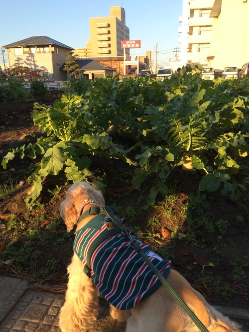 2015-11-05-06-57-05