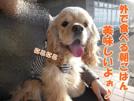 DSCN9731