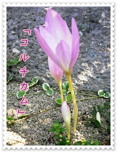 P1070850