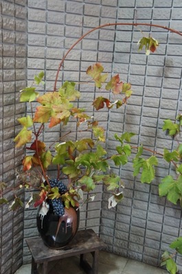 DSC01271