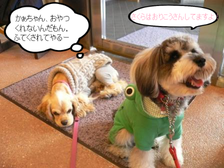 BlogPaint