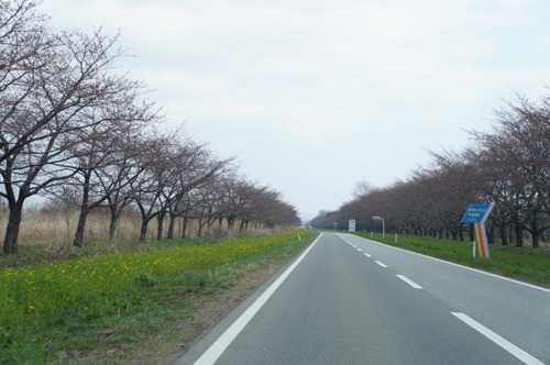 DSC09804