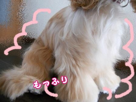 DSCN0027
