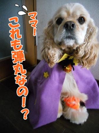 DSCN9433