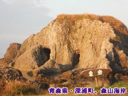 DSCN9714