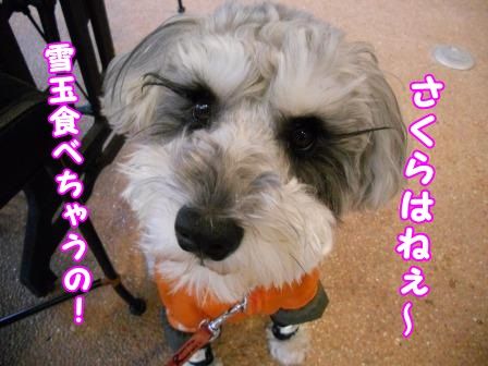 DSCN0035