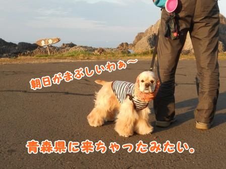 DSCN9715