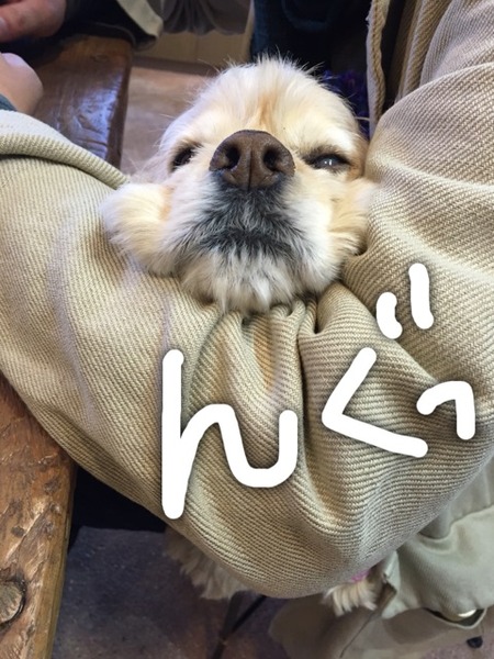 2016-12-11-15-19-37